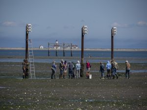 Purple Martin Fieldtrip